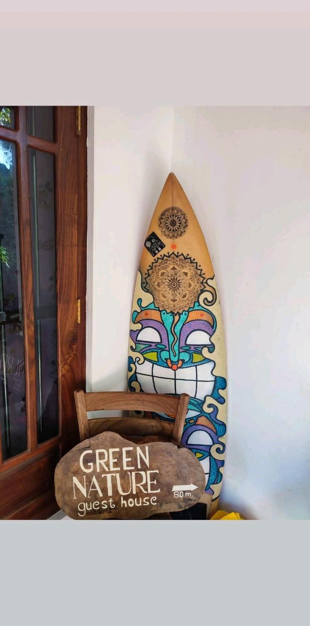 Green Nature Мириса Стая снимка